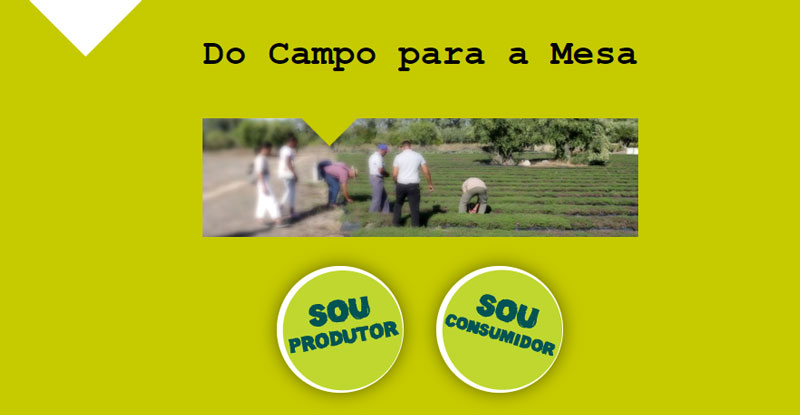 Visualização da plataforma