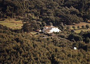 Monte Virgem