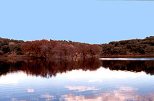 Paisagem