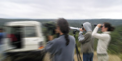 Observa&ccedil;&atilde;o de Aves